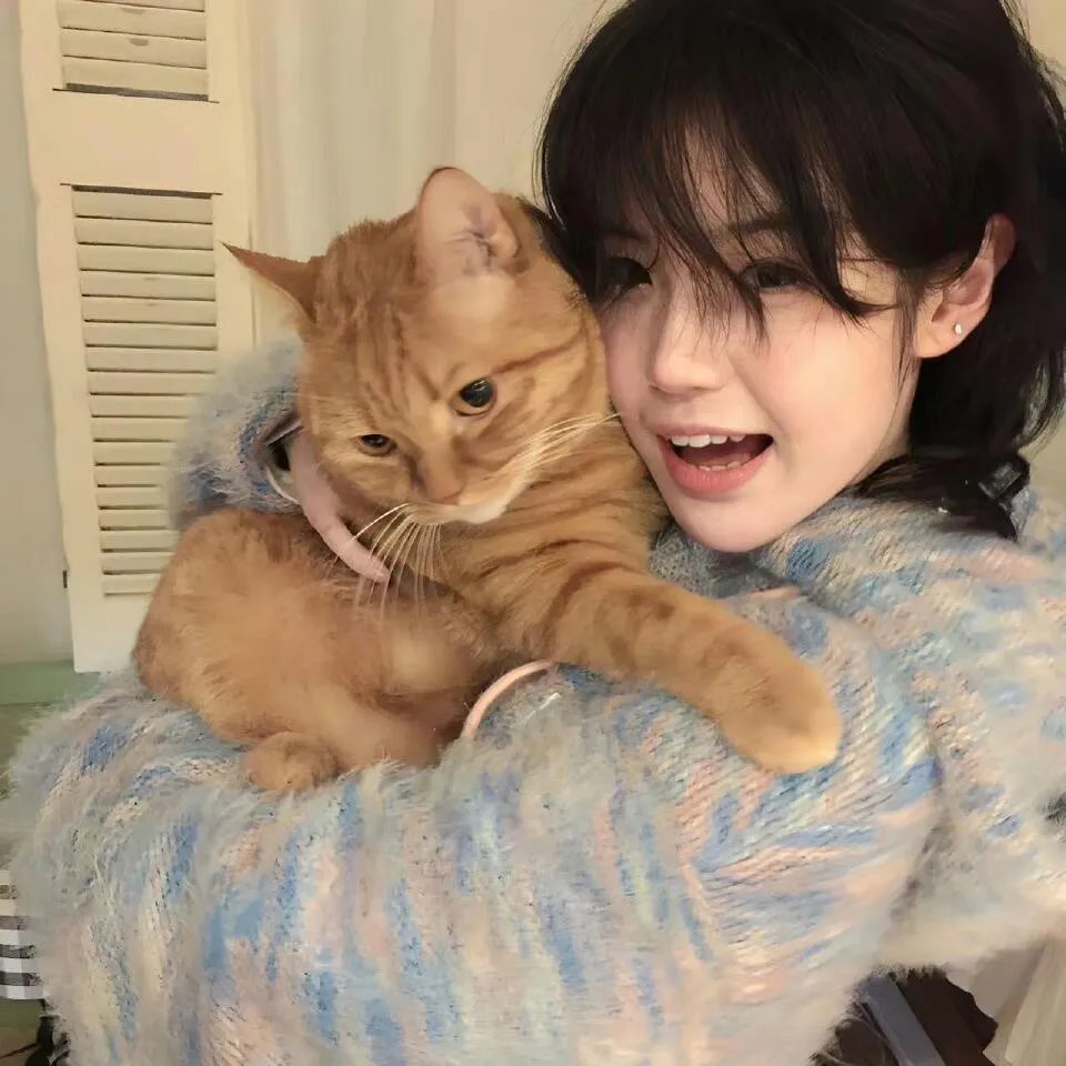 杀死一只知更鸟